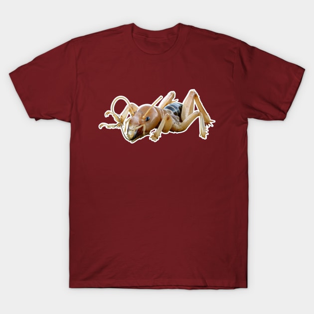 Potato Bug T-Shirt by mredthefed